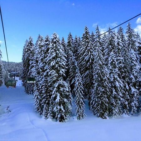 Pension Edelweiss Top 25 Gosau Eksteriør billede