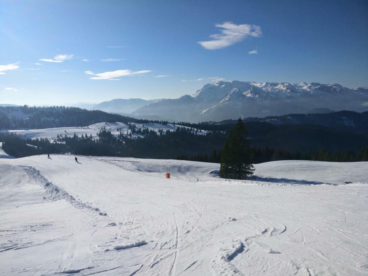 Pension Edelweiss Top 25 Gosau Eksteriør billede
