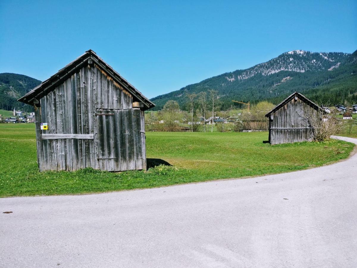 Pension Edelweiss Top 25 Gosau Eksteriør billede