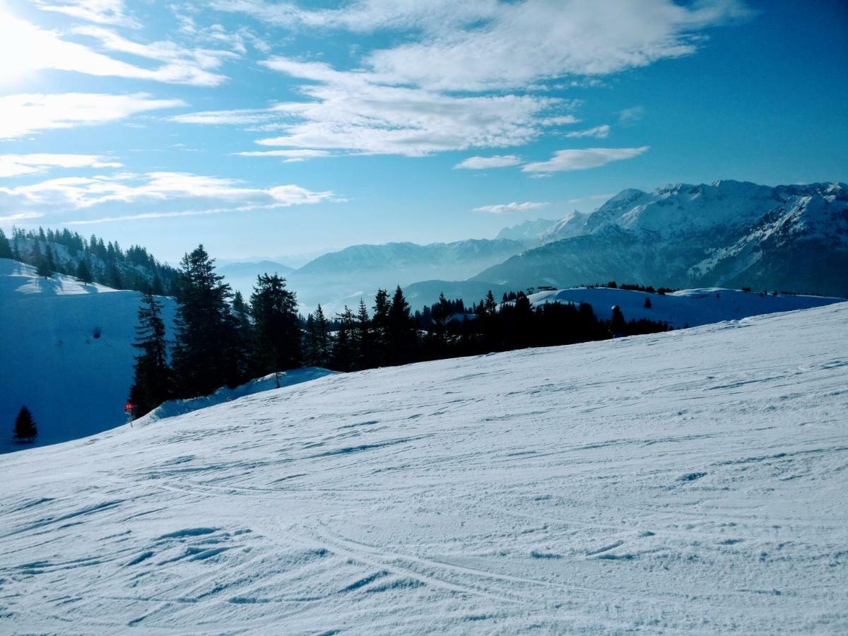 Pension Edelweiss Top 25 Gosau Eksteriør billede