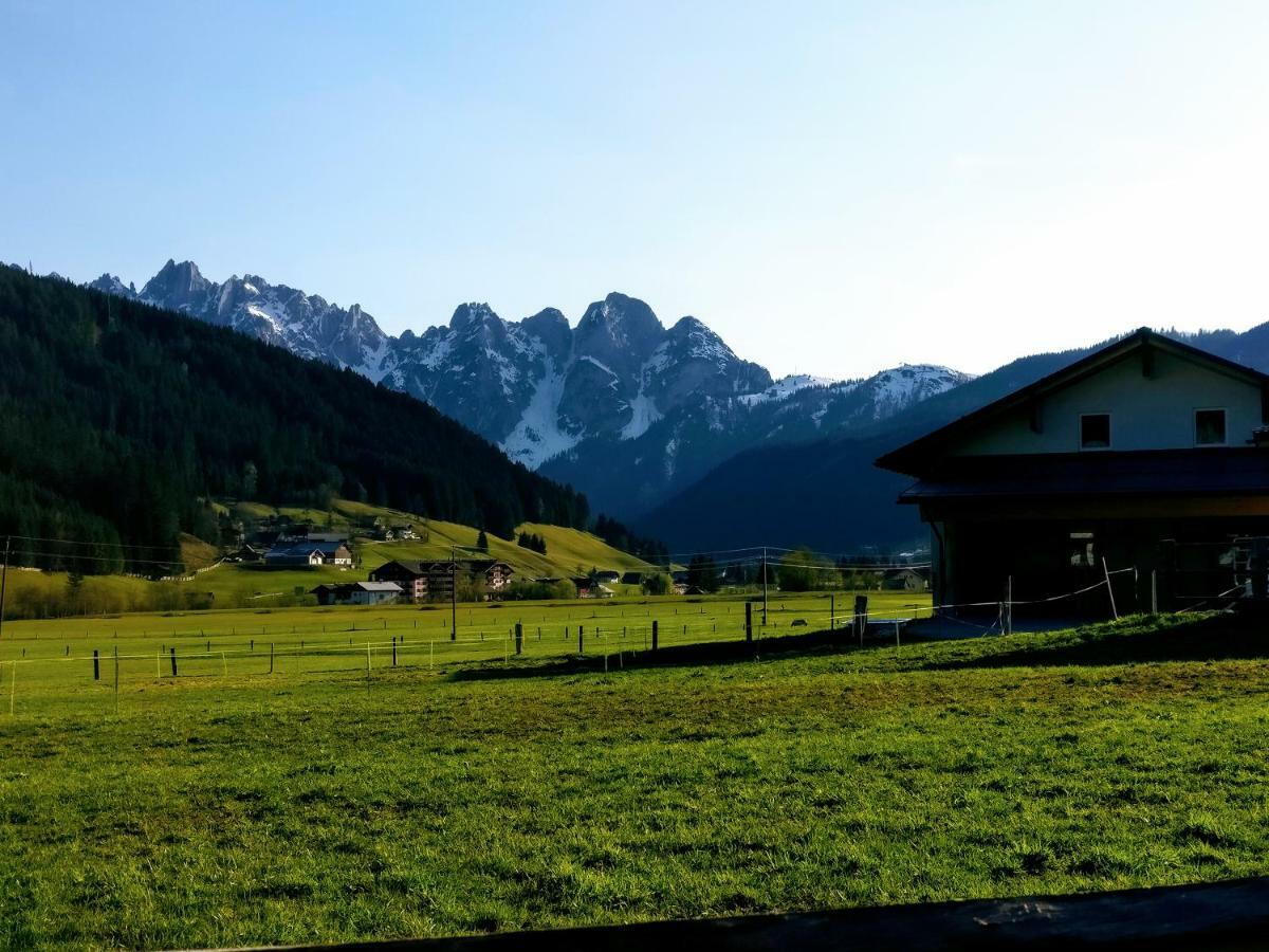 Pension Edelweiss Top 25 Gosau Eksteriør billede