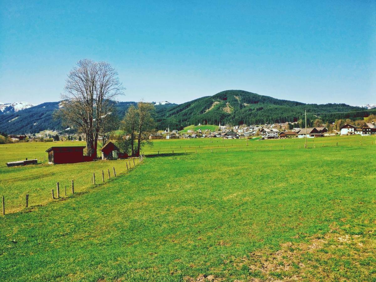 Pension Edelweiss Top 25 Gosau Eksteriør billede