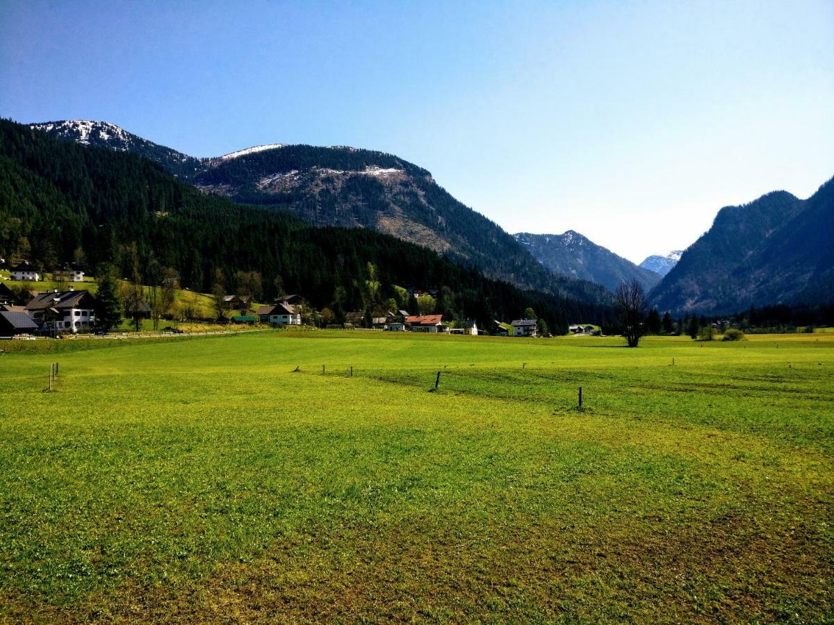 Pension Edelweiss Top 25 Gosau Eksteriør billede