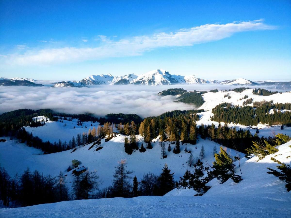 Pension Edelweiss Top 25 Gosau Eksteriør billede