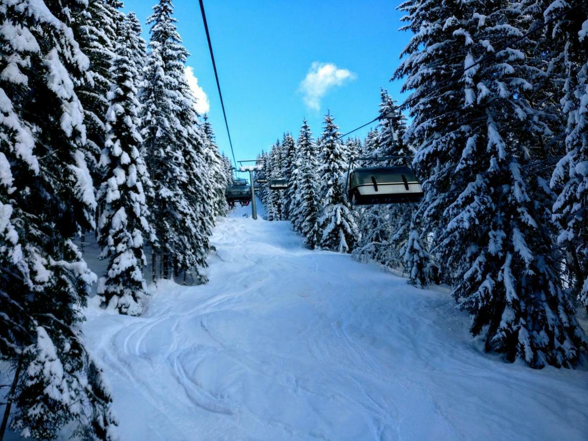 Pension Edelweiss Top 25 Gosau Eksteriør billede