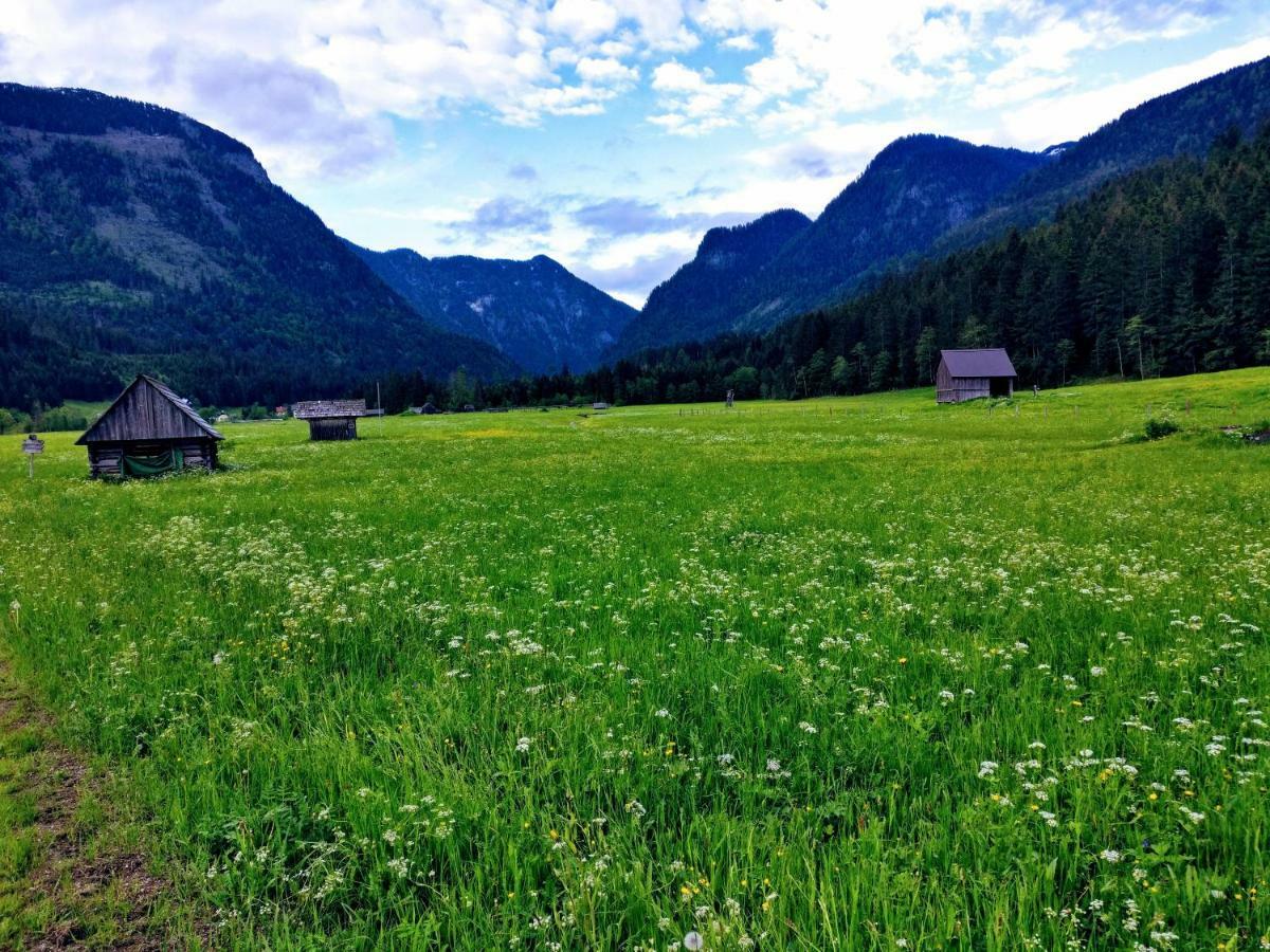 Pension Edelweiss Top 25 Gosau Eksteriør billede